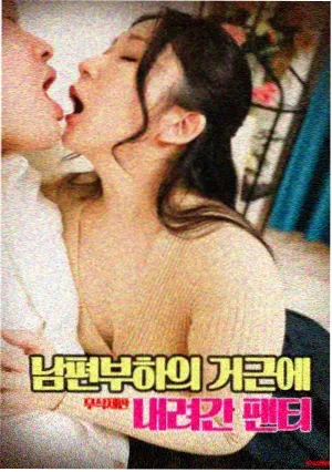 电影图鉴贴纸,长片拉片与章节结构
